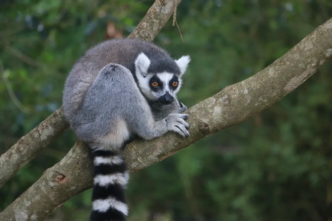 Australia Zoo 2