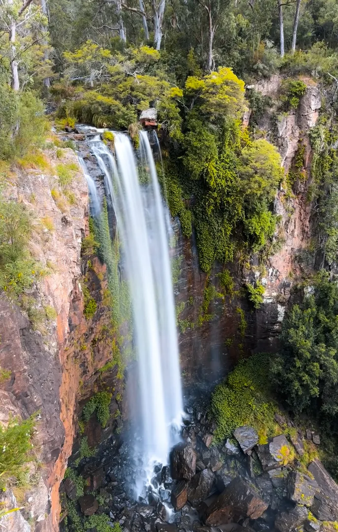 Queen Mary Falls — The Falls